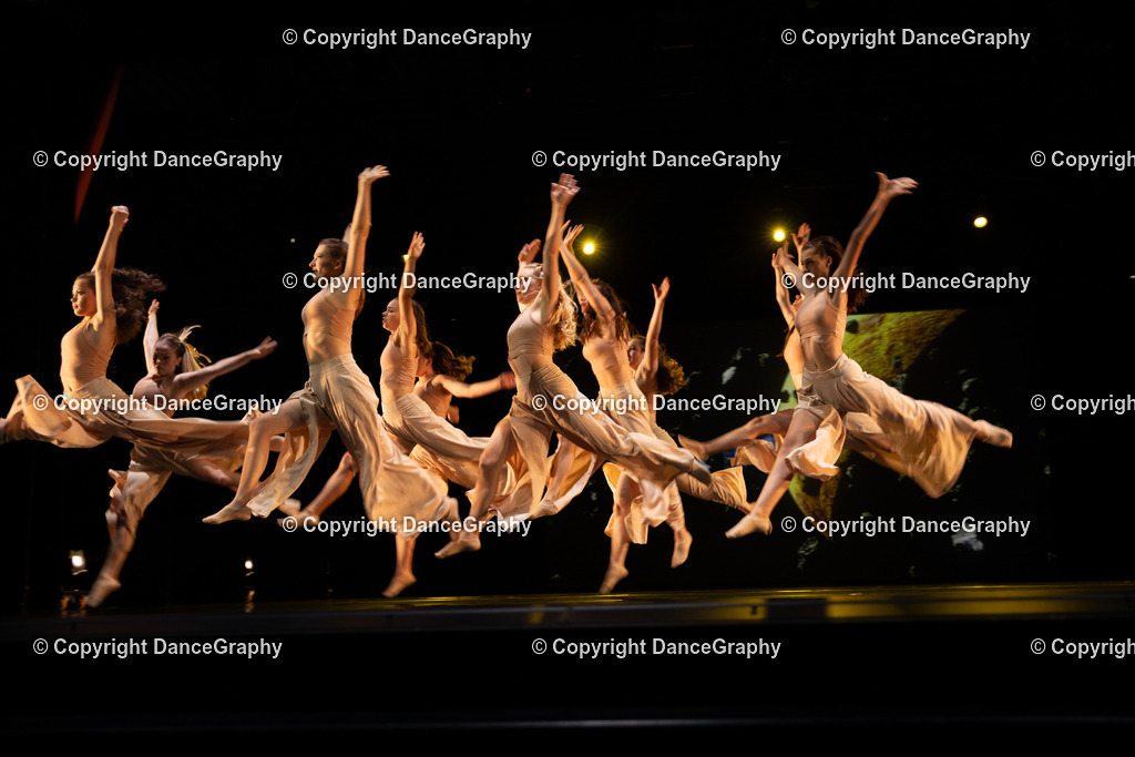 GPHY4187 | DanceGraphy - Realisiert mit Pictrs.com