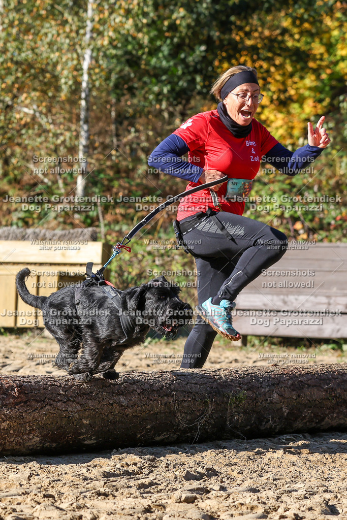 Dog Paparazzi - Strongdog 10-25-2523 | Dog Paparazzi Jeanette Grottendiek Fotografie & Videografie - Realisiert mit Pictrs.com