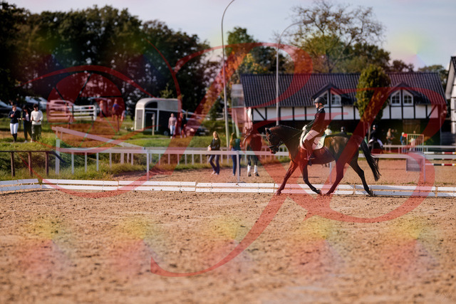 2026_10_03_Siefer-Hof_130850_Z81_62048345 | Professionelle Reitsport-, Turnier- und Eventfotografie von Robert Broda. Galerien mit ausgewählten und bearbeiteten Bildern direkt online ansehen und bestellen.