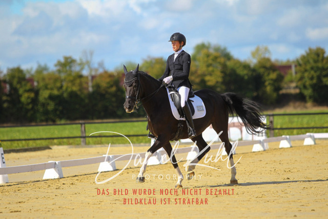 DKP44041 | Turniersportfotografie; Pferdefotografie; Dressurfotografie