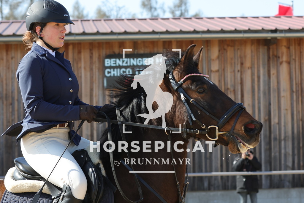 0P6A6486 | Willkommen bei Brunnmayr - Design & Fotografie – Ihrem Spezialisten für Reitturniere und Pferdeveranstaltungen in Oberösterreich, Salzburg und Bayern! Seit über 17 Jahren sind wir leidenschaftlich dabei.