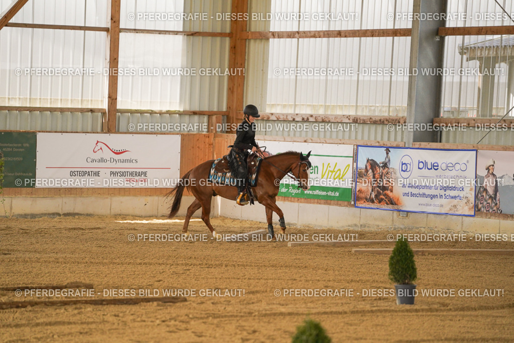 DSC05794 | Pferdegrafie