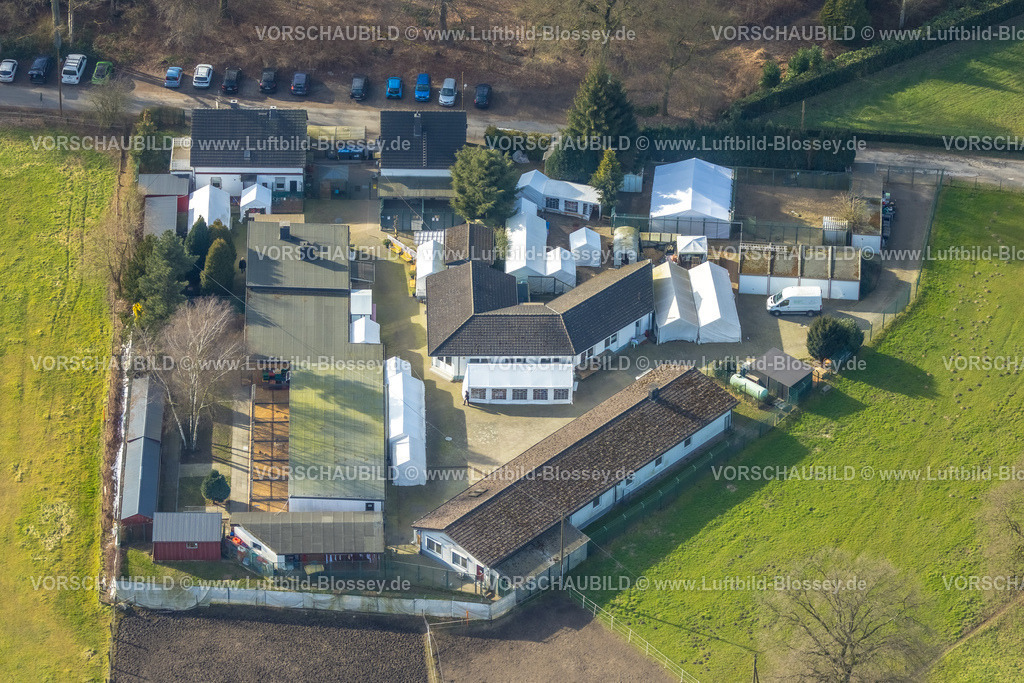 Bottrop250202292Mitte | Luftbild, Tierheim Tierfreunde Bottrop e.V. im Deutschen Tierschutzbund, Häuser und weiße Zelte, Stadtwald, Bottrop, Ruhrgebiet, Nordrhein-Westfalen, Deutschland