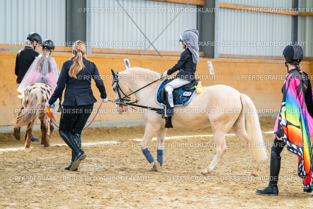 DSC00853 | Pferdegrafie