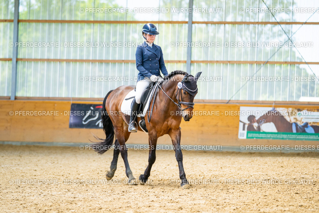 DSC09435 | Pferdegrafie