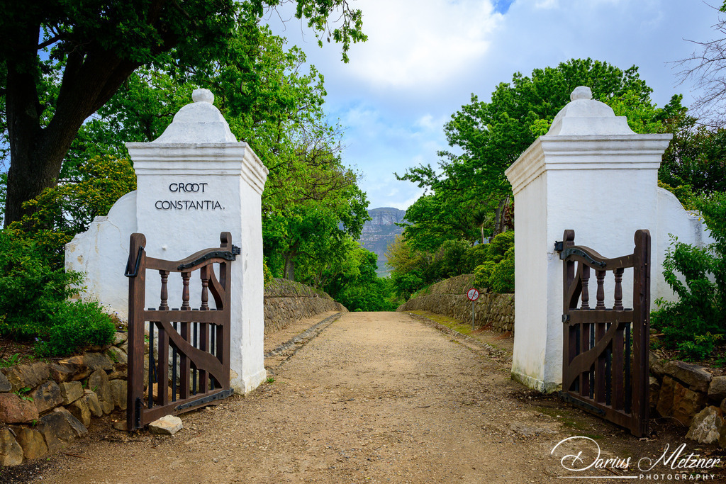 _DSC7728 | Fotografien, Fotos und Bilder aus Mainz, Frankfurt, Wiesbaden und anderen Orten auf der Welt - Fotografiert von Darius Metzner