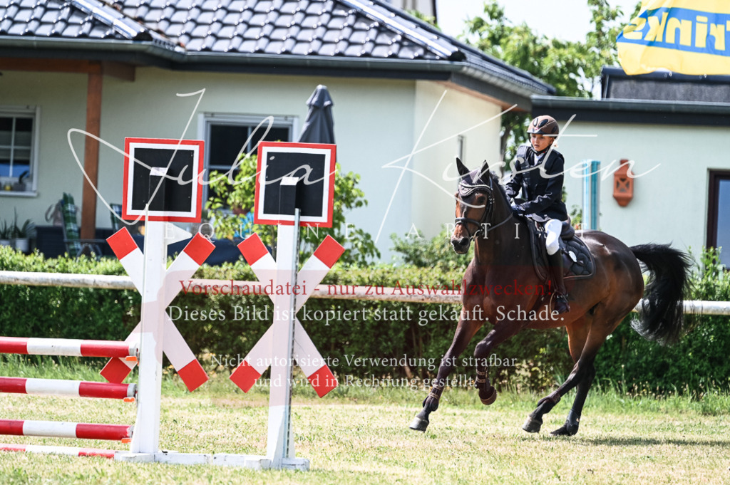 DSC_9251 | Pferde- und Turnierfotografie in Westsachsen. Pferdeportraits, Auftragszeichnungen und intuitive Kunst.