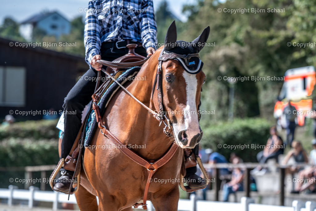 HOB08960 | BS-foto