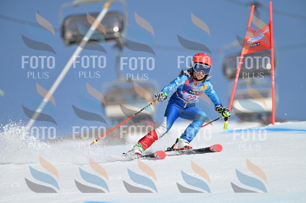 BGV_7974 | holidayphoto