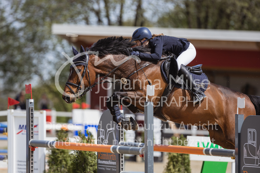 230501_SpengeW_M2St-197 | Deine schönsten Turniermomente als professionelle Fotos! Entdecke hochwertige Pferdesport-Fotografie im Online-Shop. Jetzt Fotos finden & bestellen!