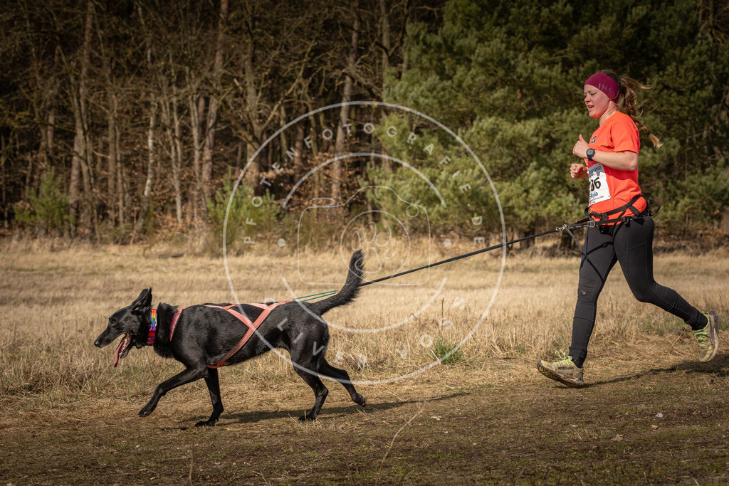 DV3A5841 | Hundefotografie, Tierfotograf, Pfotenfotografie, Fotoshooting Hund, Hunde Portrait, Hundesport, Hundeportraits, Heideshooting, Hunde, Sportfotograf, Hundefotograf, Turnierhundsport, THS,  - Realisiert mit Pictrs.com