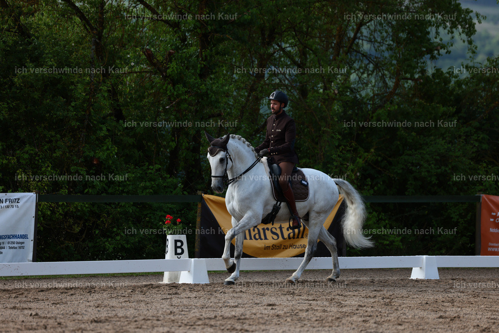 KlasseL_Stoibphotography_CAM21060.JPG | working equitationturnier fotograf videograf stoibphotography marixx film working equitation deutschland reitsport turnierfotografie eventfotografie equestrian events