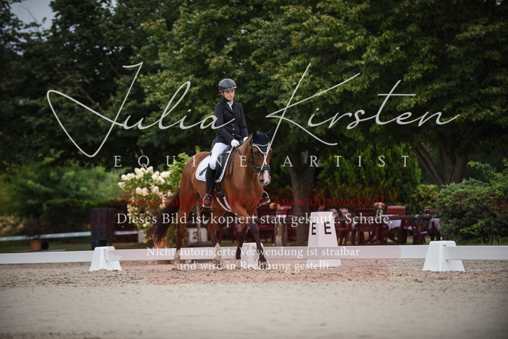DSC_8391 | Pferde- und Turnierfotografie in Westsachsen. Pferdeportraits, Auftragszeichnungen und intuitive Kunst.