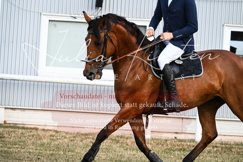 DSC_7601 | Pferde- und Turnierfotografie in Westsachsen. Pferdeportraits, Auftragszeichnungen und intuitive Kunst.