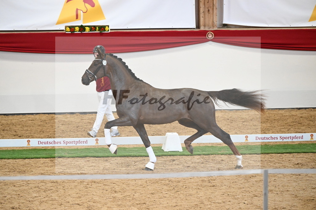 Kat.-Nr. 47 v. Damontez_Pfefferle_2250115 | hf-fotografie - Realisiert mit Pictrs.com