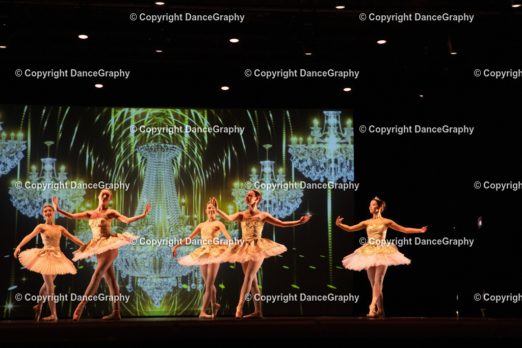 GPHY6558 | DanceGraphy - Realisiert mit Pictrs.com