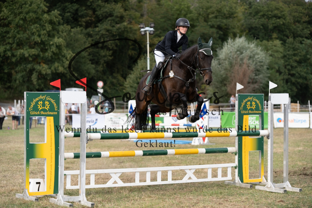 A7V09659 | Pferdefotograf