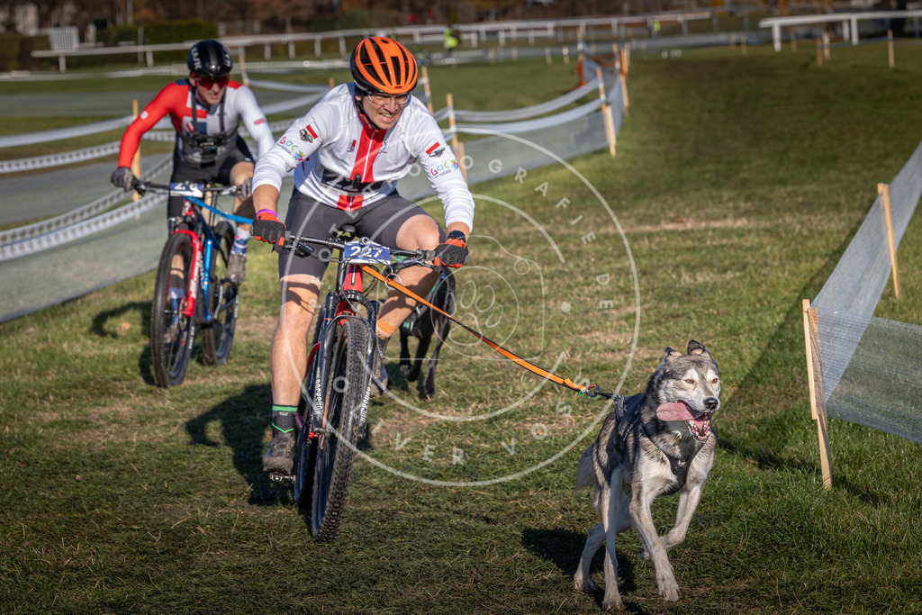 CaniXpix_0L8A4701 | Hundefotografie, Tierfotograf, Pfotenfotografie, Fotoshooting Hund, Hunde Portrait, Hundesport, Hundeportraits, Heideshooting, Hunde, Sportfotograf, Hundefotograf, Turnierhundsport, THS,  - Realisiert mit Pictrs.com