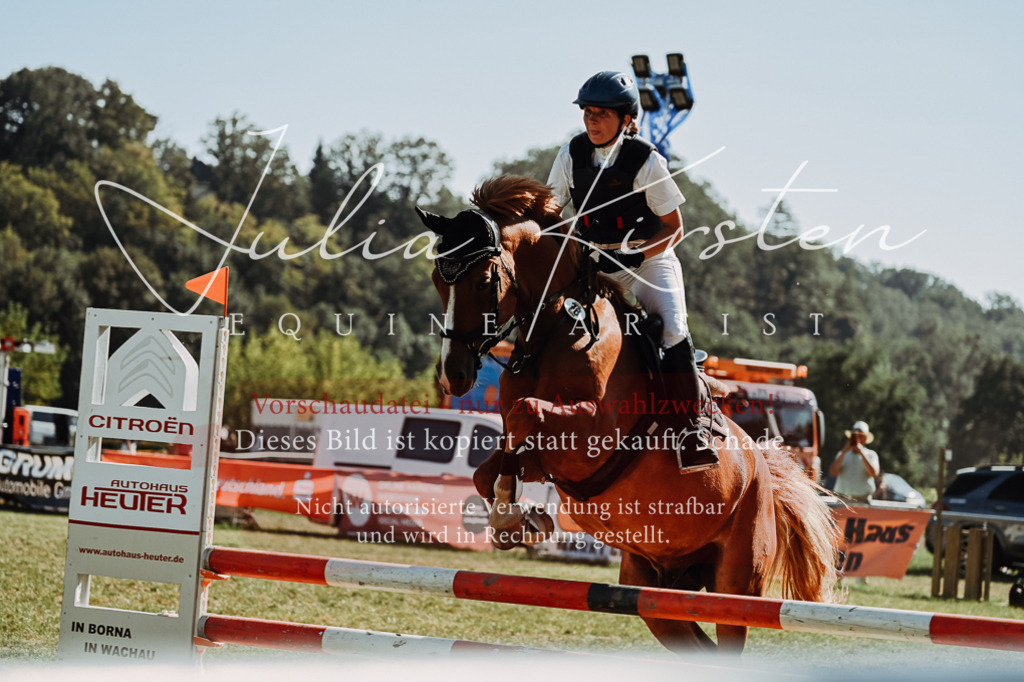DSC_6943 | Pferde- und Turnierfotografie in Westsachsen. Pferdeportraits, Auftragszeichnungen und intuitive Kunst.