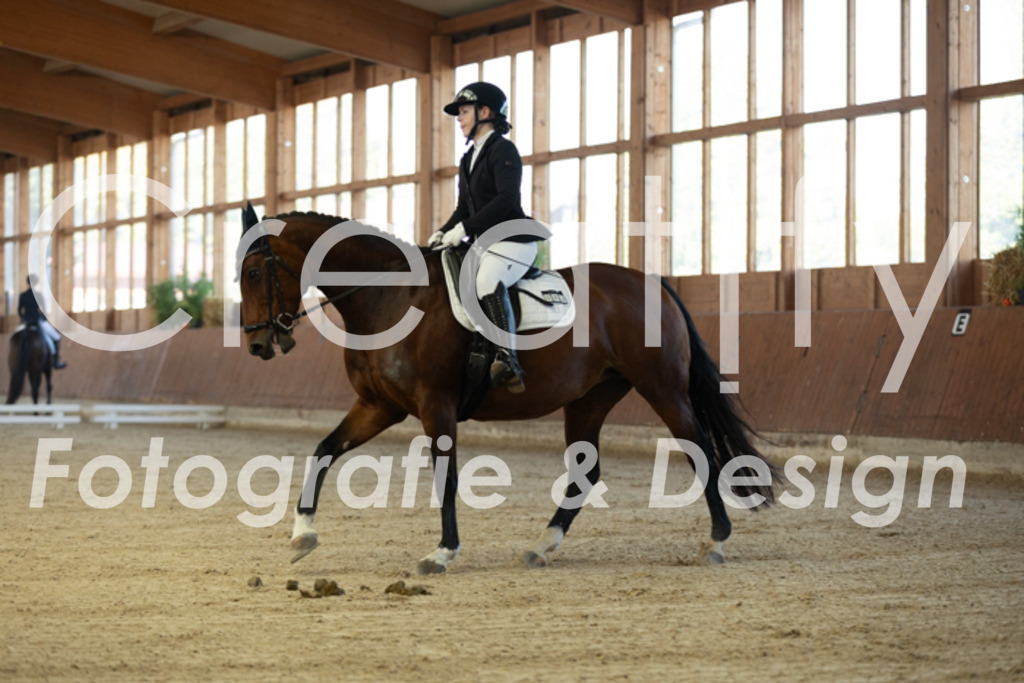 IMG_7962 | Creatify Fotografie