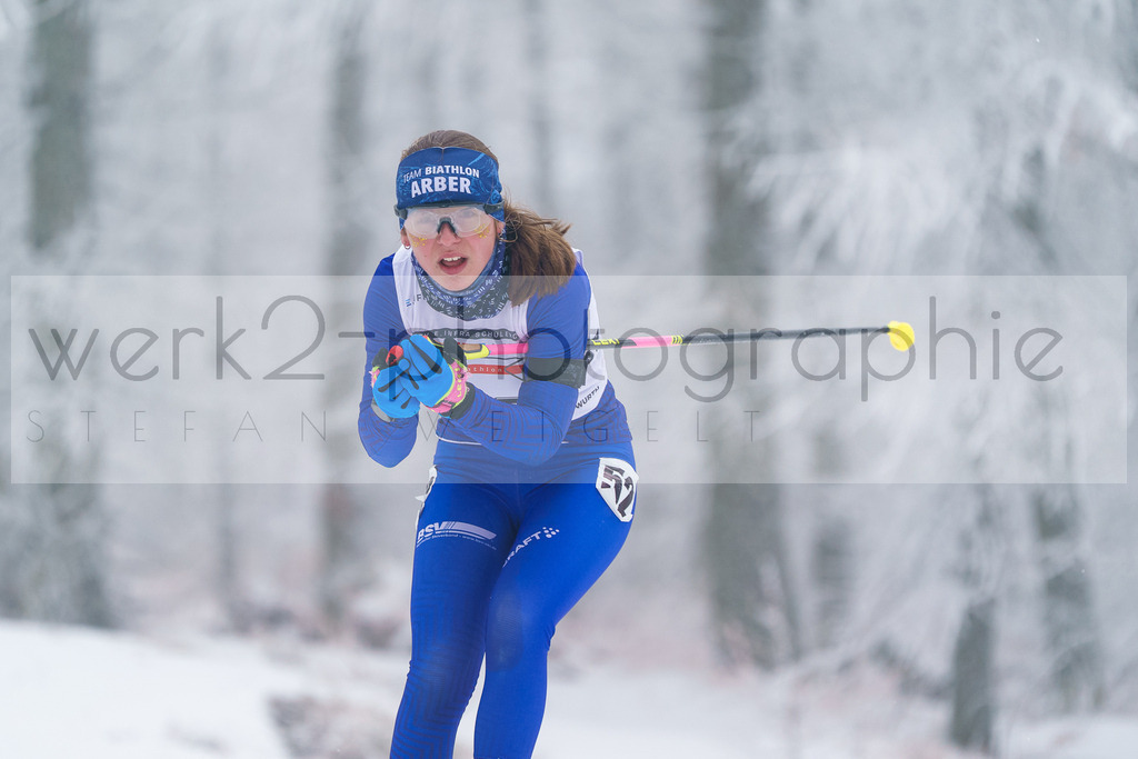 DSC Altenberg | 2. DSV E.INFRA Schülercup Biathlon in der SPARKASSEN-Arena Altenberg am 23. - 25. Januar 2026
