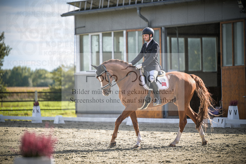 DOS_0652 | Entdecke hochwertige Reitturnierfotos von Foto Oger. Professionell, emotional und authentisch – jetzt Lieblingsmomente im Shop bestellen.Deutschlandweite Turnierfotografie. - Realisiert mit Pictrs.com