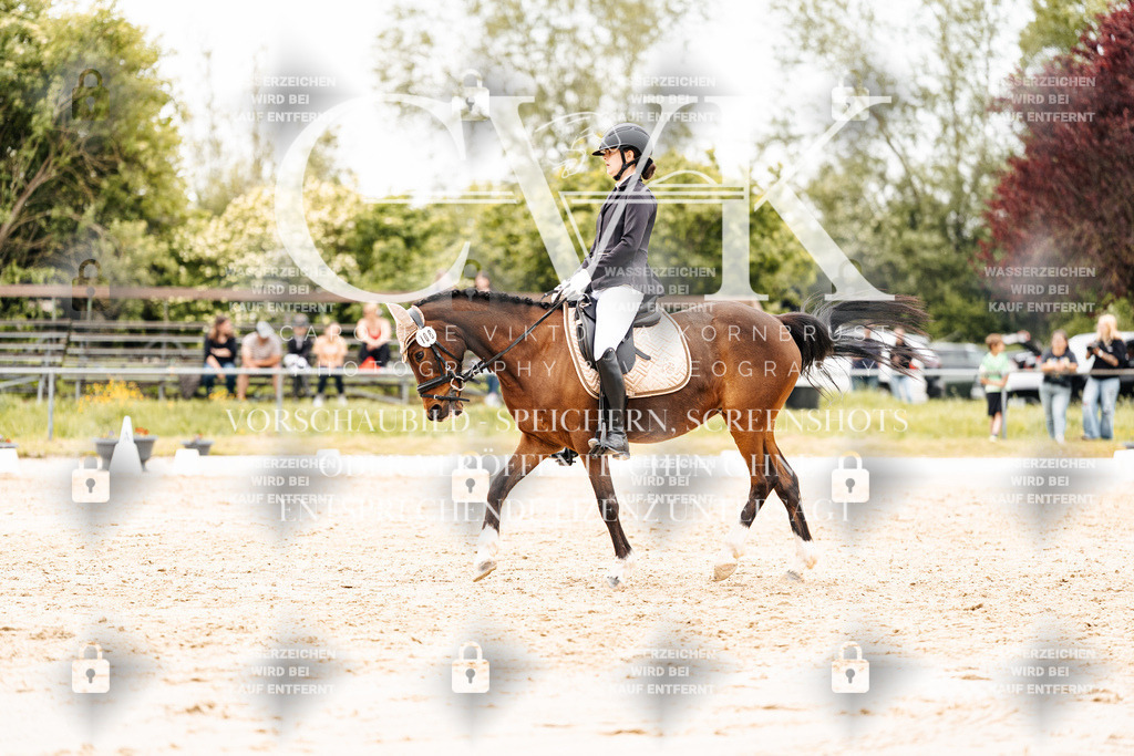 CK903602 | Turnierfotografie Pferdefotografie Trier Rheinland-Pfalz Pferdesport Reitsport Tierfotografie Sportfotografie Pferdevideo Pferdevideografie Equestrianvideography equestrianphotography  - Realisiert mit Pictrs.com