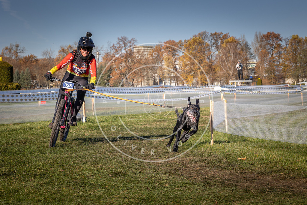 CaniXpix_0L8A5763 | Hundefotografie, Tierfotograf, Pfotenfotografie, Fotoshooting Hund, Hunde Portrait, Hundesport, Hundeportraits, Heideshooting, Hunde, Sportfotograf, Hundefotograf, Turnierhundsport, THS,  - Realisiert mit Pictrs.com