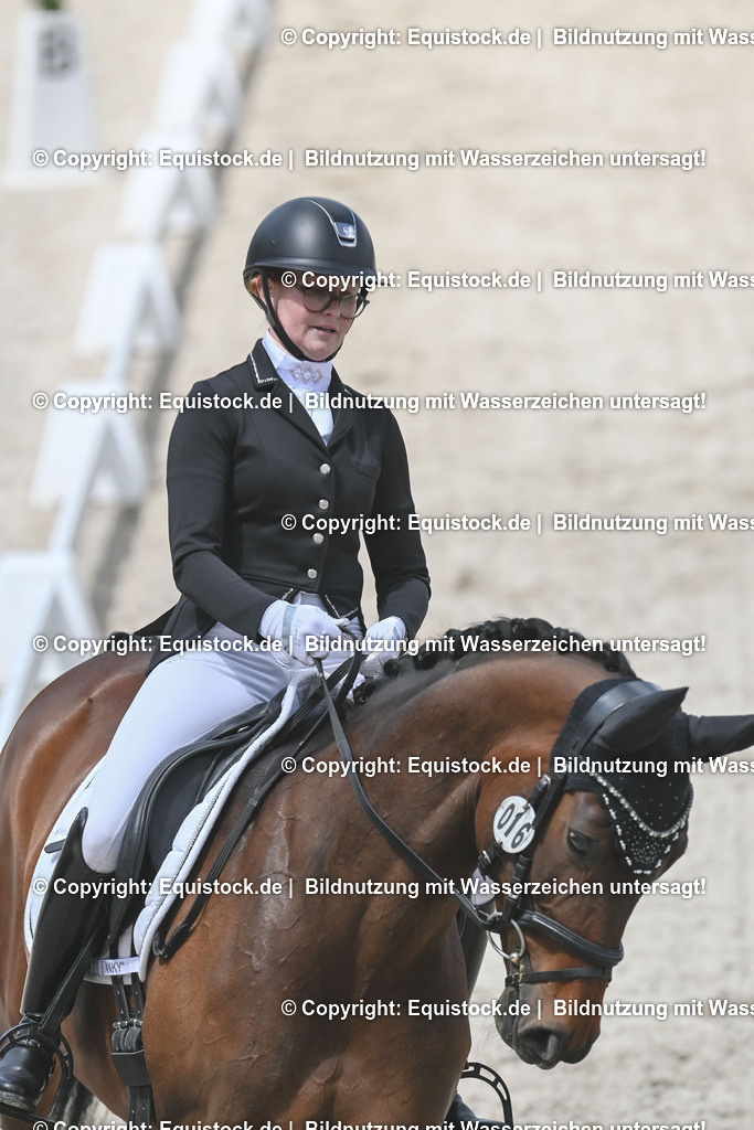 20250516_CCI2_Dressur_0037 | Foto: Thomas Hartig