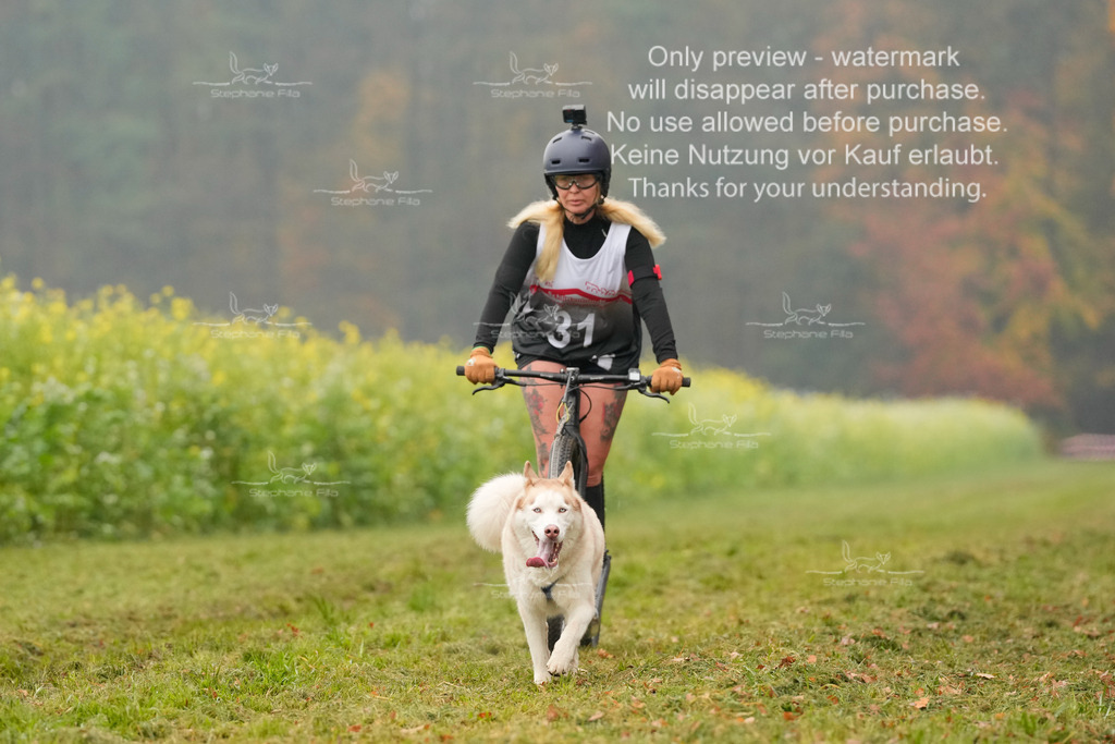 Visbeck_Sa_Scooter_Hc-148 | stephaniefillaphotographie - Realisiert mit Pictrs.com