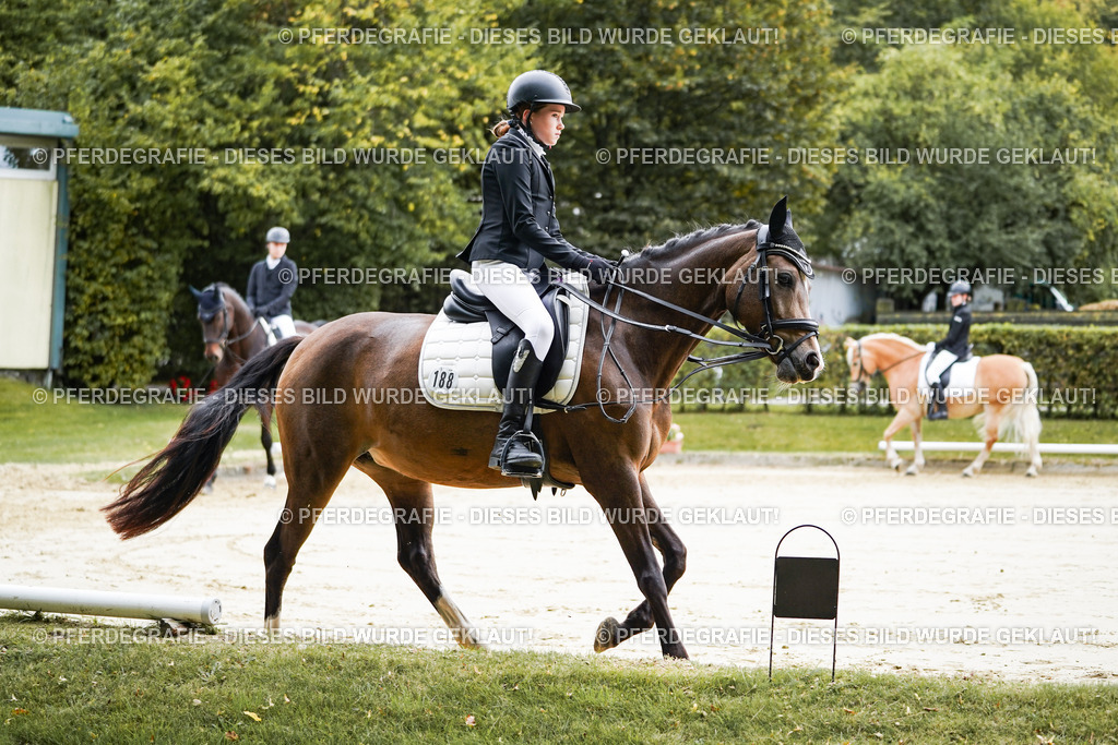 DSC04773 | Pferdegrafie