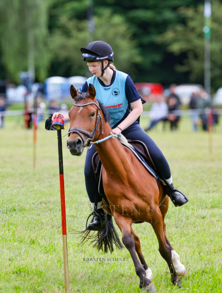 1B3A0042 | Reitsport Reiten