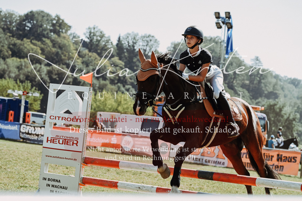 DSC_6577 | Pferde- und Turnierfotografie in Westsachsen. Pferdeportraits, Auftragszeichnungen und intuitive Kunst.