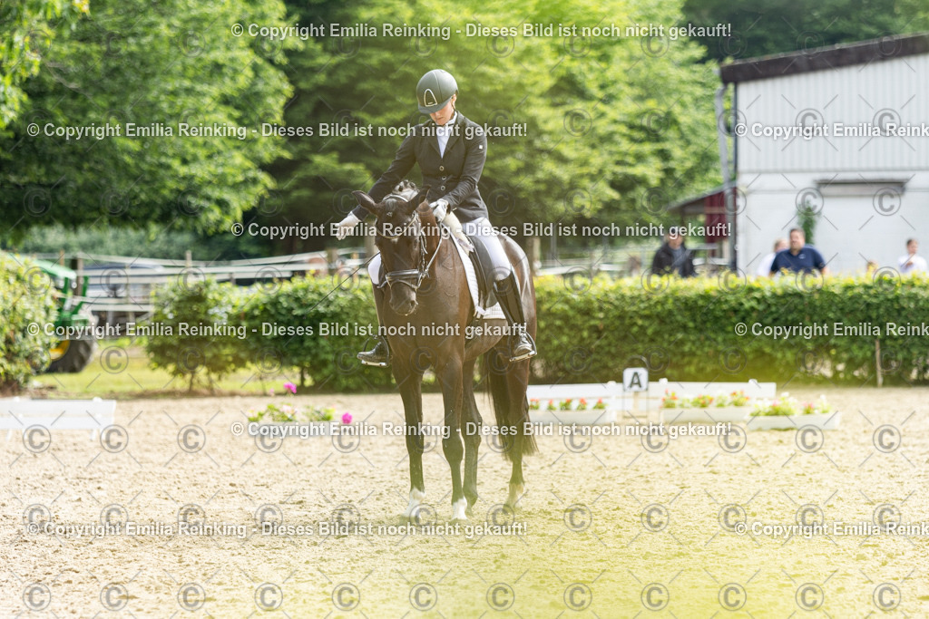 CL5A5590 | Emilia Reinking Fotografie - Realisiert mit Pictrs.com