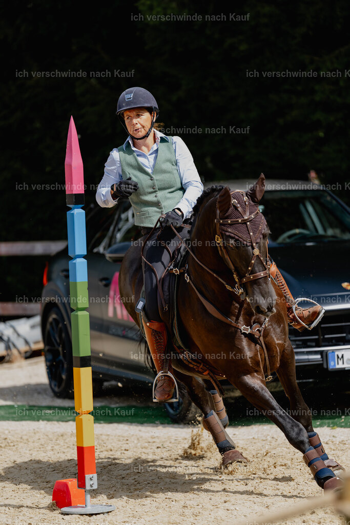 Mirjam25_FHC2025-2797 | working equitationturnier fotograf videograf stoibphotography marixx film working equitation deutschland reitsport turnierfotografie eventfotografie equestrian events