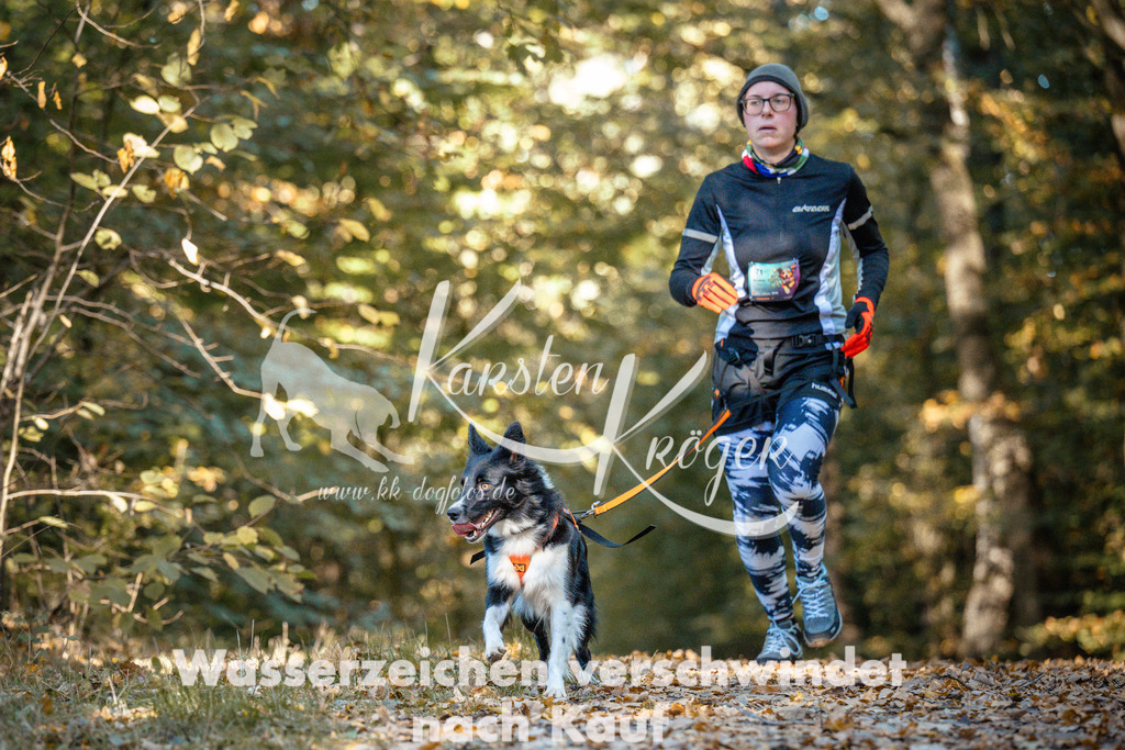 1102_ZZ91411 | kk-dogfotos