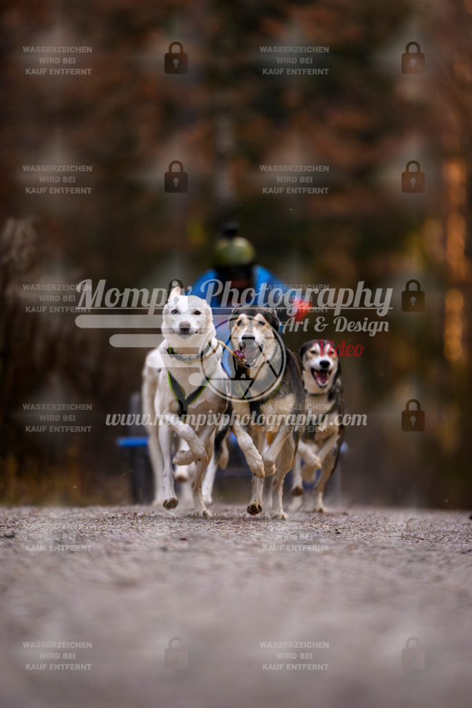 MompixPhotography_DM_AKDM_SO_2025_Wagen-4 | PayLife