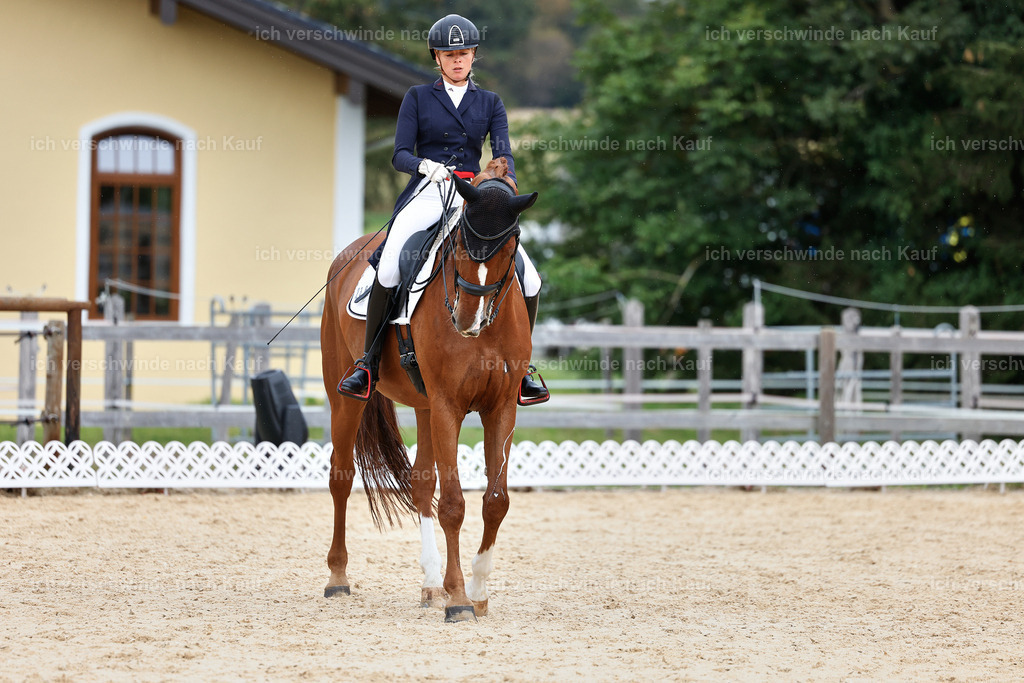 11-238-Dressur S___-StoibPH-965 | working equitationturnier fotograf videograf stoibphotography marixx film working equitation deutschland reitsport turnierfotografie eventfotografie equestrian events