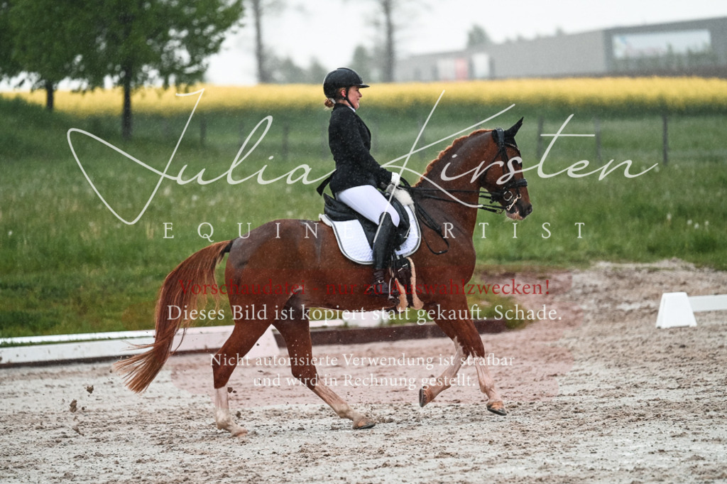 DSC_4630 | Pferde- und Turnierfotografie in Westsachsen. Pferdeportraits, Auftragszeichnungen und intuitive Kunst.