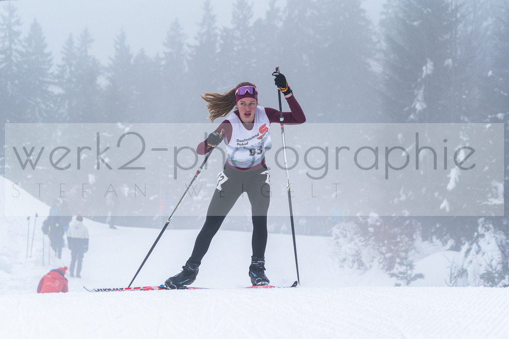 DSC Arber | Bayerischer Wald am 15. und 16. Januar 2022