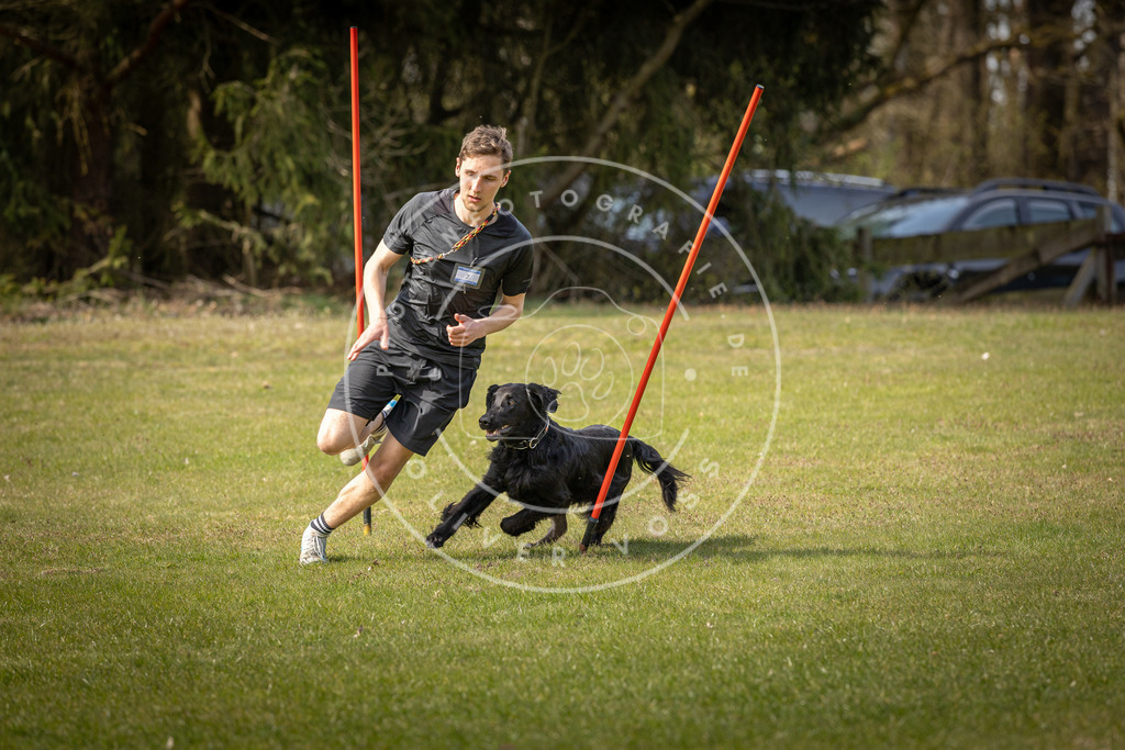Pfotenfotografie_DV3A9754 | Hundefotografie, Tierfotograf, Pfotenfotografie, Fotoshooting Hund, Hunde Portrait, Hundesport, Hundeportraits, Heideshooting, Hunde, Sportfotograf, Hundefotograf, Turnierhundsport, THS,  - Realisiert mit Pictrs.com