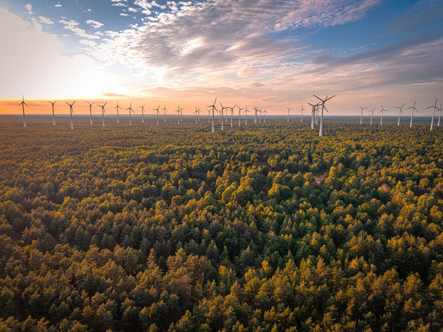 2026-07-10_20-41-26_000 | Lange Reihe von Windkraftanlagen bei Sonnenuntergang über einem Wald, Teltow-Fläming, Brandenburg, Deutschland - Realisiert mit Pictrs.com