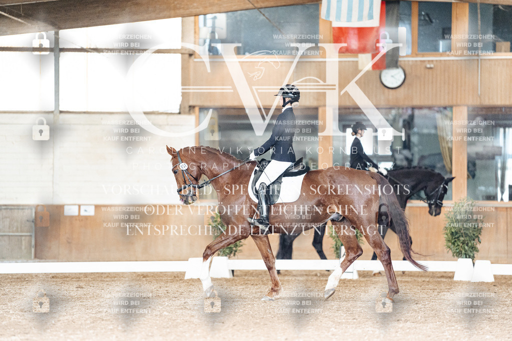 CK902399 | Turnierfotografie Pferdefotografie Trier Rheinland-Pfalz Pferdesport Reitsport Tierfotografie Sportfotografie Pferdevideo Pferdevideografie Equestrianvideography equestrianphotography  - Realisiert mit Pictrs.com