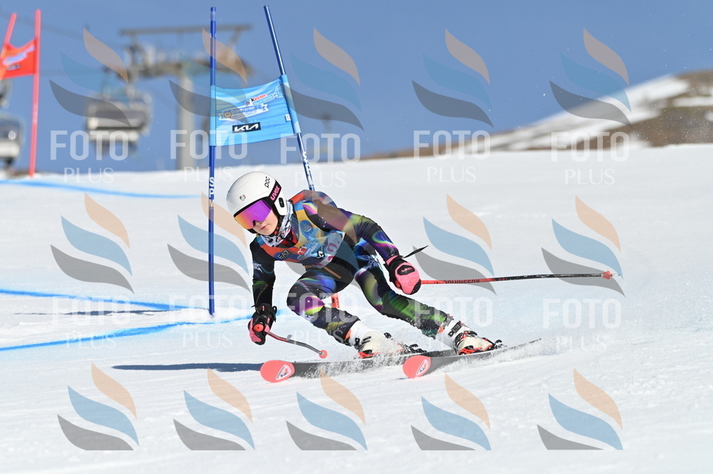 BGV_7799 | holidayphoto