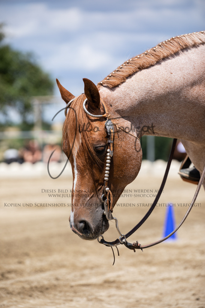 20220709-JuliaEndrejatPhotography-0851 | Julia Endrejat Photography