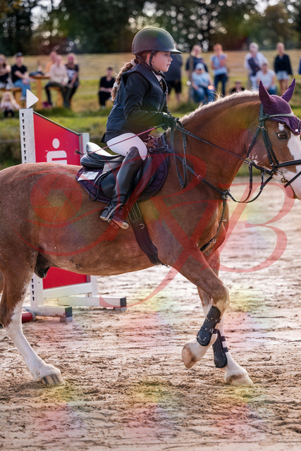2026_10_03_Siefer-Hof_144438_Z81_18583935 | Professionelle Reitsport-, Turnier- und Eventfotografie von Robert Broda. Galerien mit ausgewählten und bearbeiteten Bildern direkt online ansehen und bestellen.