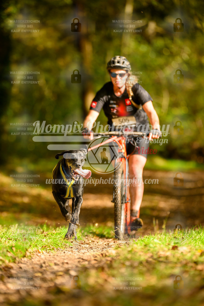 MompixPhotography_20TSB_E1_DS1-13 | PayLife