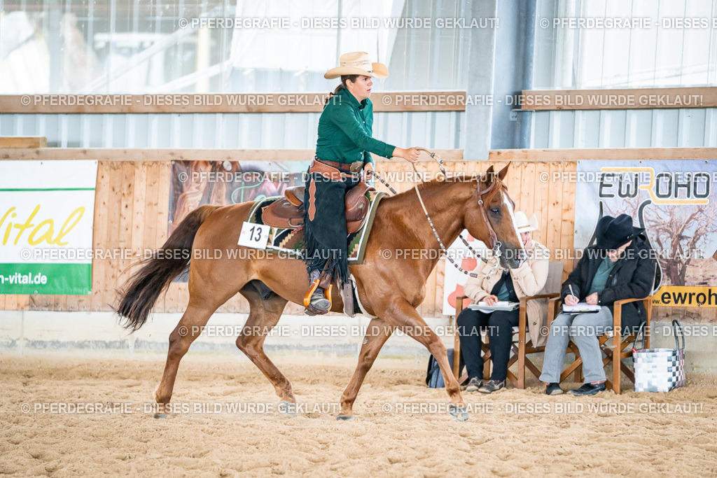 DSC03787 | Pferdegrafie