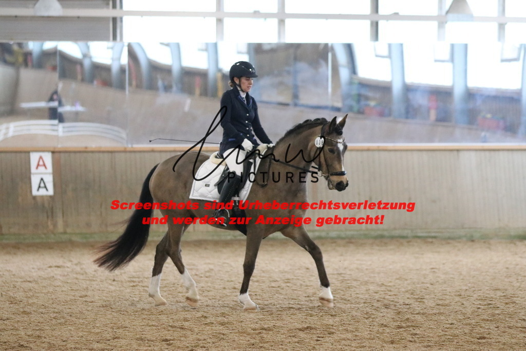 IMG_6581 | lmwpictures - Realisiert mit Pictrs.com