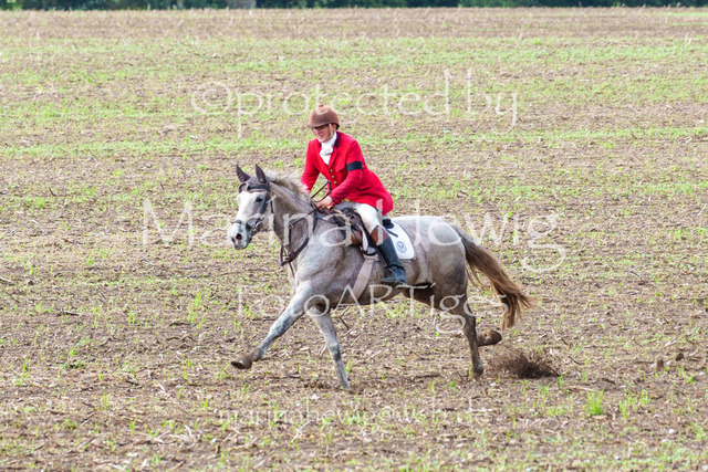Jagd Perdoel 26 Sony-04009_MarinaHewig | Fotografie, FotoArt, PferdesportArt, Pferdesportfotografie, Landschaftsfotografie, Reisefotografie, Reise, Pferde - Realisiert mit Pictrs.com